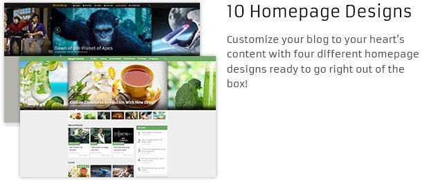 02-Homepage-Designs-1.jpg